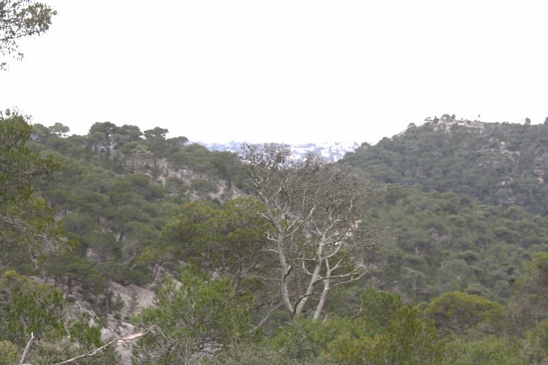 gal/Saison 2011/En_route_vers_le_Mont_Faron/IMG_9747.JPG